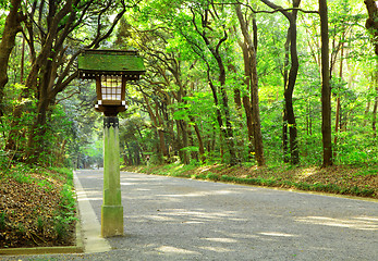 Image showing Footpath in Japanese garden