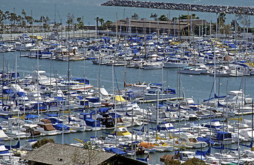 Image showing Dana Point