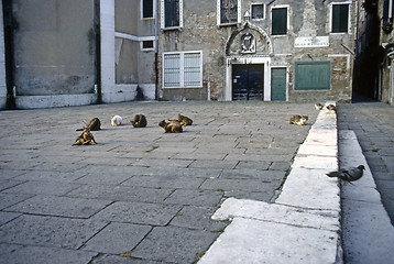 Image showing Venice