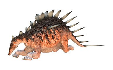 Image showing Dinosaur Kentrosaurus