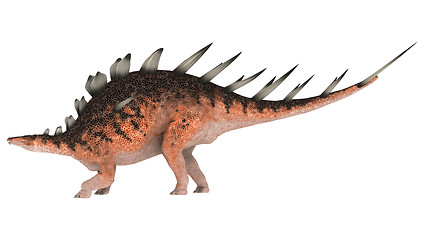 Image showing Dinosaur Kentrosaurus