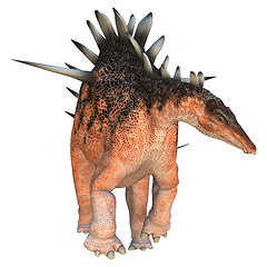 Image showing Dinosaur Kentrosaurus