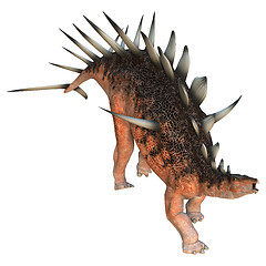 Image showing Dinosaur Kentrosaurus