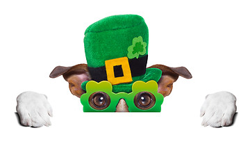 Image showing st patricks  day dog 