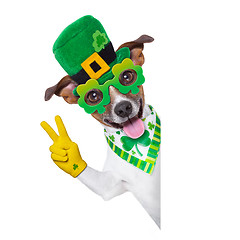 Image showing st patricks  day dog 