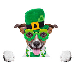 Image showing st patricks  day dog 