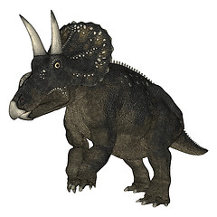 Image showing Dinosaur Diceratops