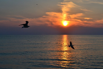 Image showing Beautiful sunset over the sea.