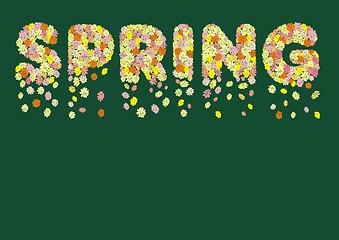 Image showing Spring flowers in spring title 