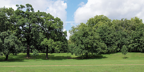 Image showing Kensington gardens London