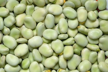 Image showing Broad Bean