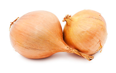 Image showing Onion