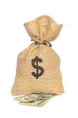 Image showing Money Bag