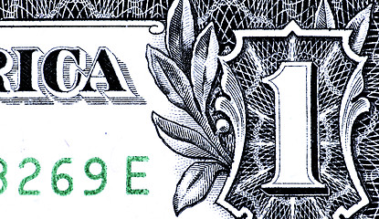 Image showing Dollars