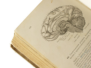 Image showing old anatomy book