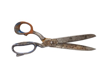 Image showing Scissors