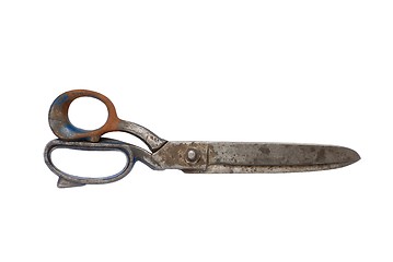 Image showing Scissors