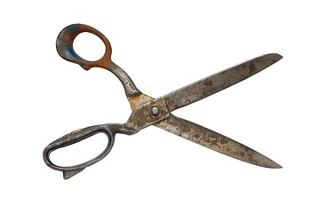 Image showing Scissors