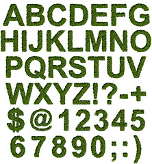 Image showing Green grass type set 