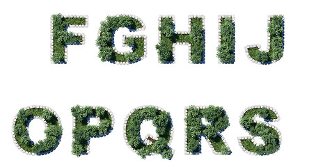 Image showing Trees and grass font with grey cubing border