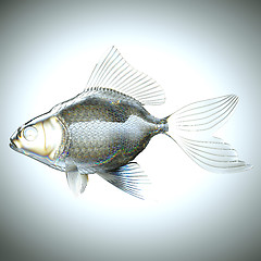 Image showing Side view of fish made of glass