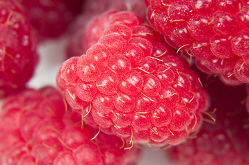 Image showing Macro shot of raspberry