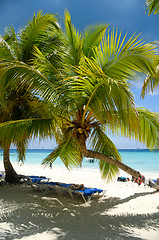 Image showing Paradise beach