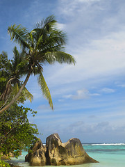 Image showing Tropical island