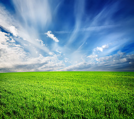 Image showing Green field abstract