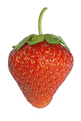 Image showing Strawberry