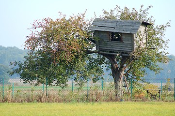 Image showing Tree House