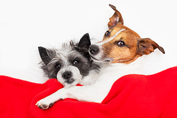 Image showing couple in love 