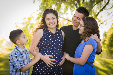 Image showing Happy Attractive Hispanic Family With Their Pregnant Mother Outd
