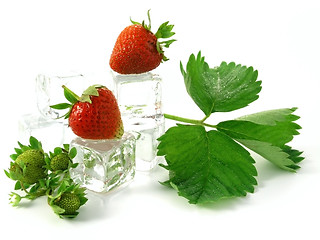 Image showing strawberries