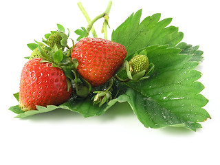 Image showing strawberries