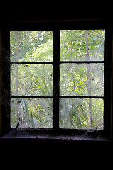 Image showing in spooky dark room looking out