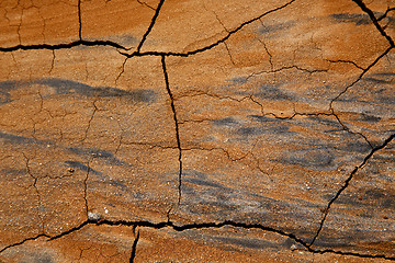 Image showing  spain abstract texture of a broke dry sand and lichens 