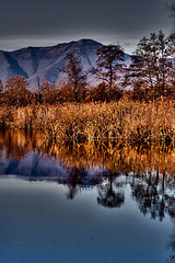 Image showing abstract  and marsh moor  