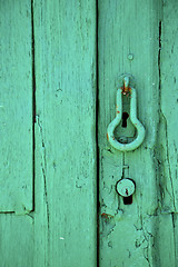 Image showing canarias brass brown knocker in a green 