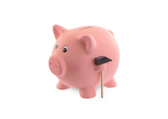 Image showing Unique pink ceramic piggy bank