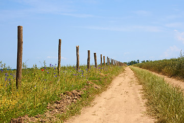 Image showing Wooden columns near the dirt rural road