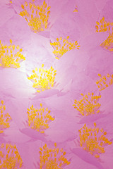 Image showing Floral Background of Pink Flowers