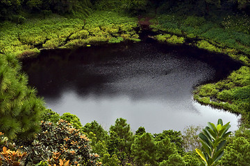 Image showing  lake    tree and hill