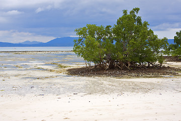Image showing nosy be    sand lagoon 