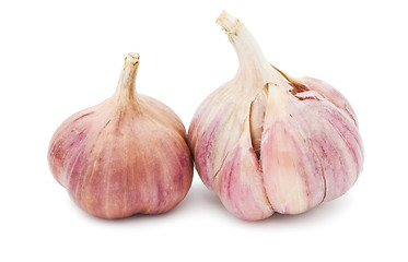 Image showing Garlic