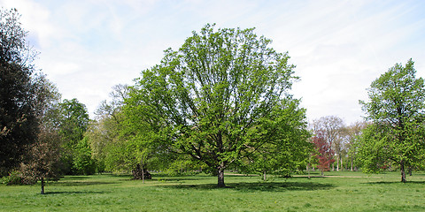 Image showing Hyde Park, London