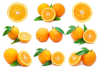 Image showing Oranges