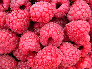 Image showing raspberries