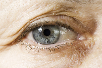 Image showing Close up old women eye