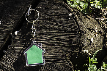 Image showing Keychain in a shape of house